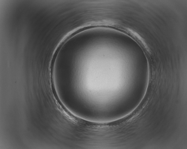 X0000084011184200702232156