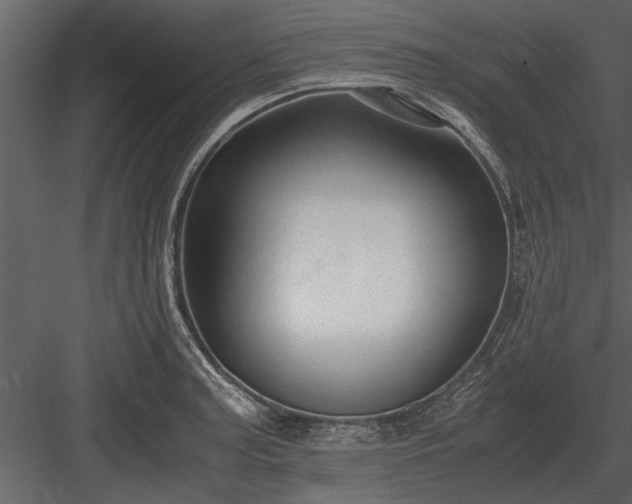 X0000084011187200702232156