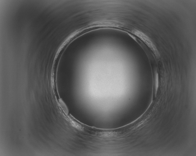 X0000084011188200702232156