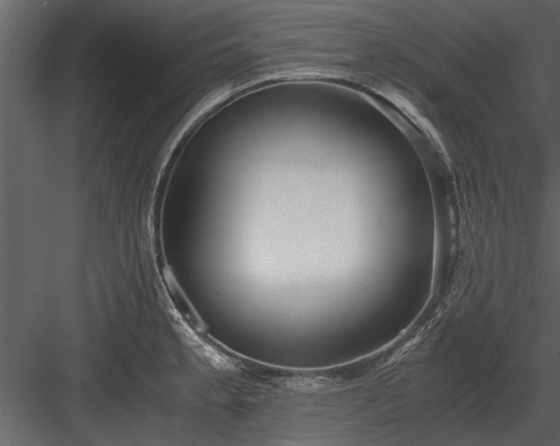 X0000084011189200702232156