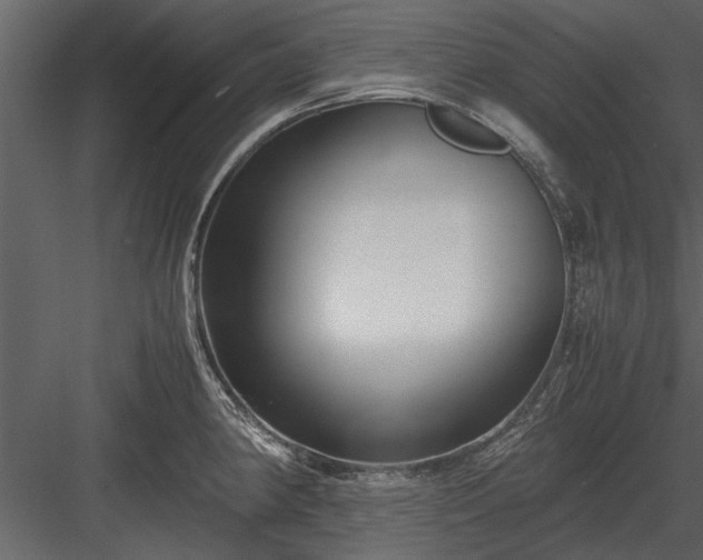 X0000084011190200702232156