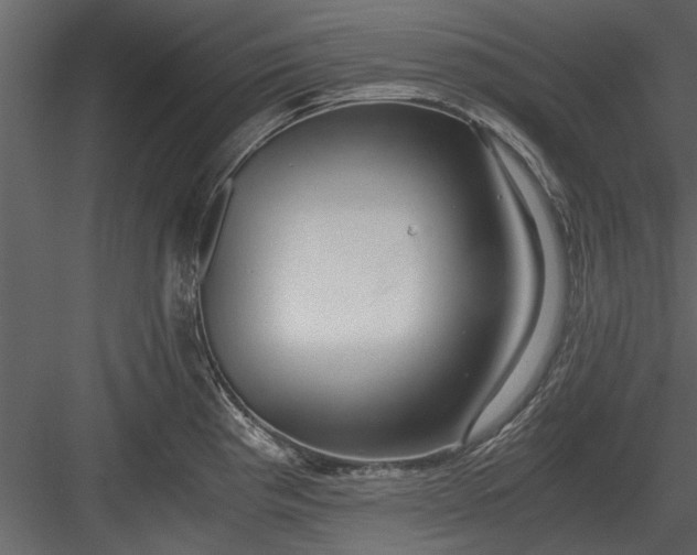 X0000084011193200702232156