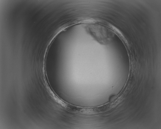 X0000084011194200702232156