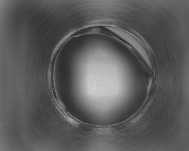 X0000084011196200702232156