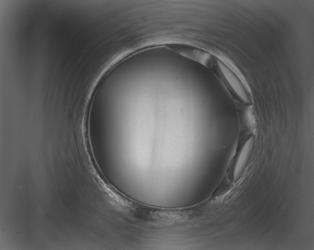 X0000084011197200702232156