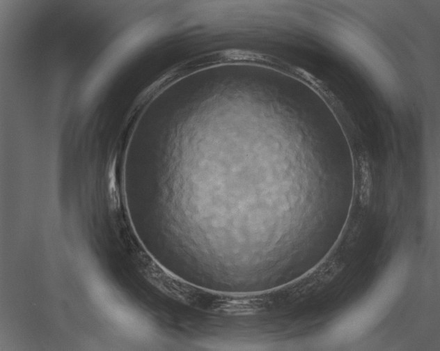 X0000084011198200702232156