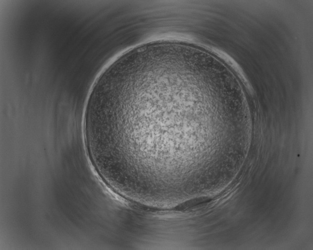 X0000084011199200702232156