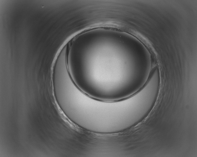 X0000084011200200702232156