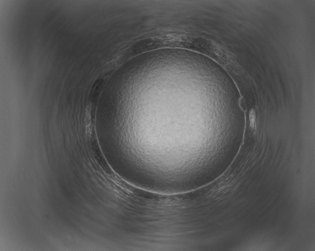 X0000084011203200702232155