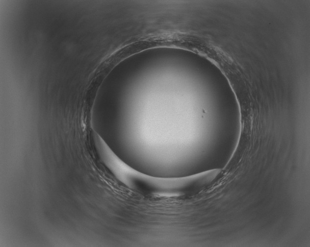 X0000084011206200702232155