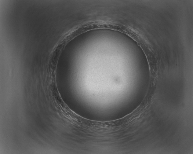 X0000084011207200702232155