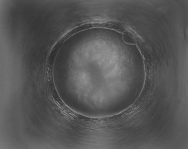 X0000084011208200702232155