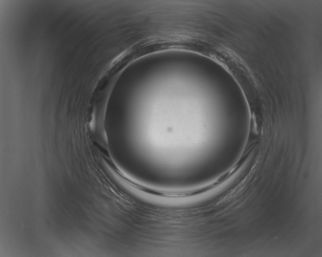 X0000084011210200702232155