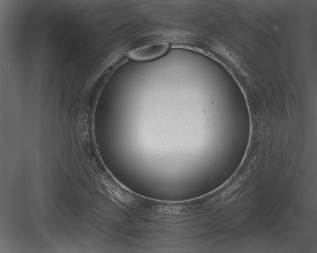 X0000084011211200702232155