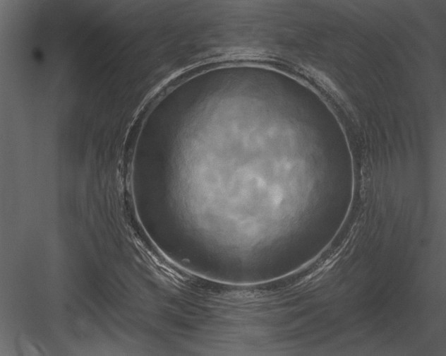 X0000084011212200702232155