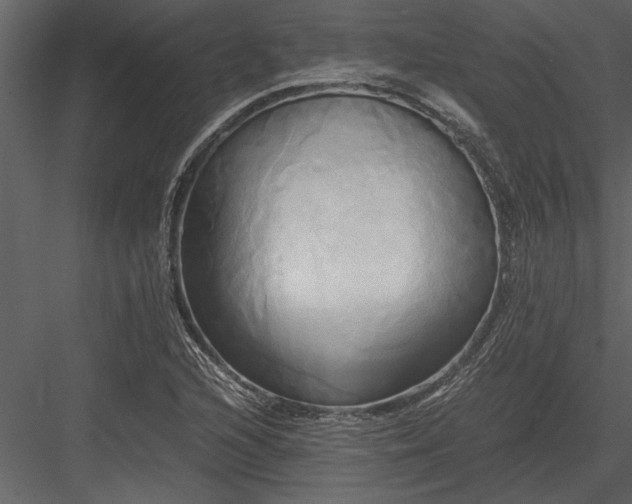 X0000084011216200702232155