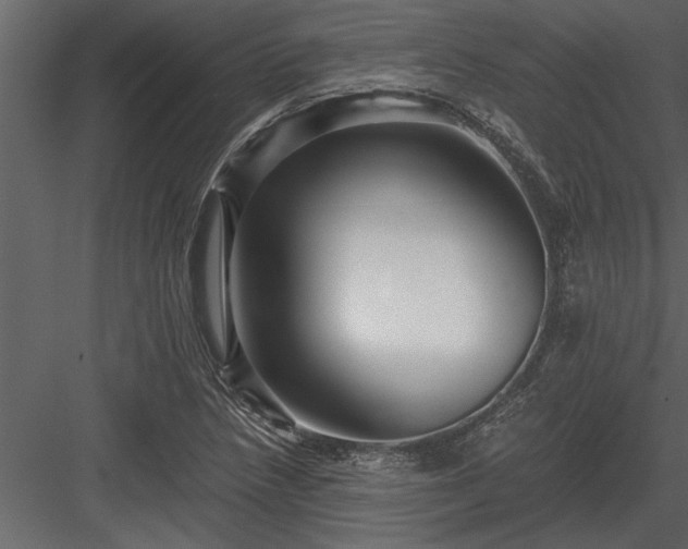 X0000084011218200702232155