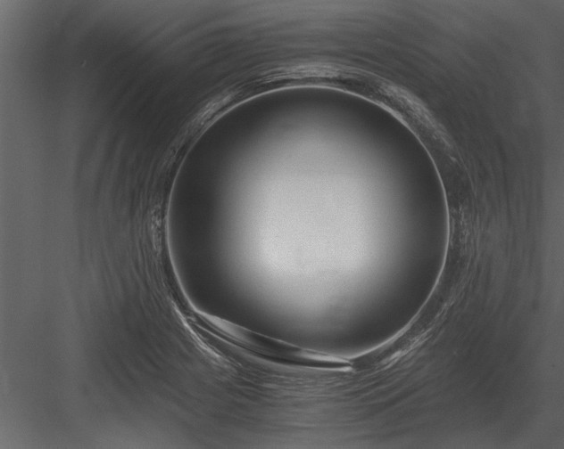 X0000084011225200702232155