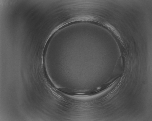 X0000084011226200702232155