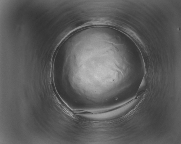 X0000084011228200702232155