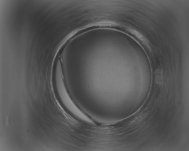 X0000084011229200702232155