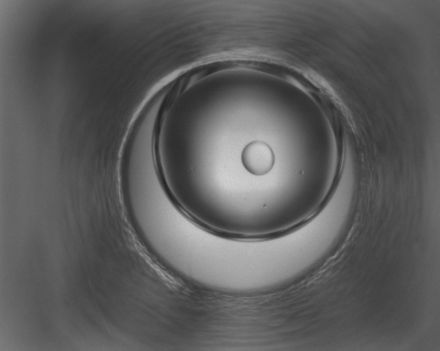 X0000084011230200702232155