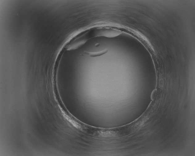 X0000084011231200702232155