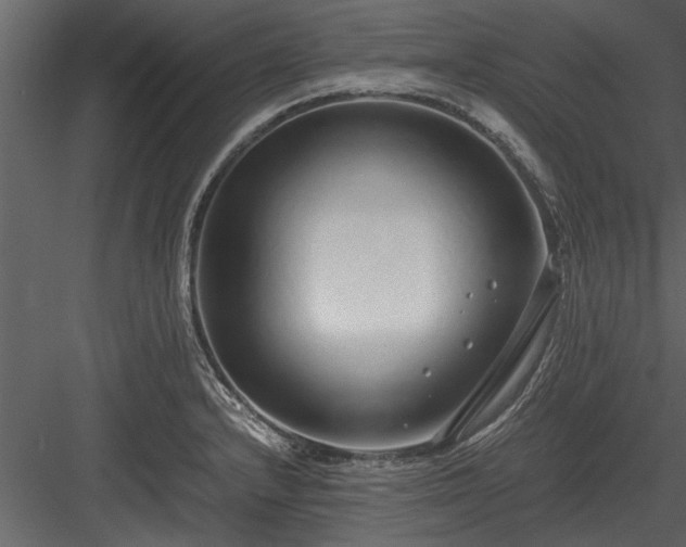 X0000084011232200702232155