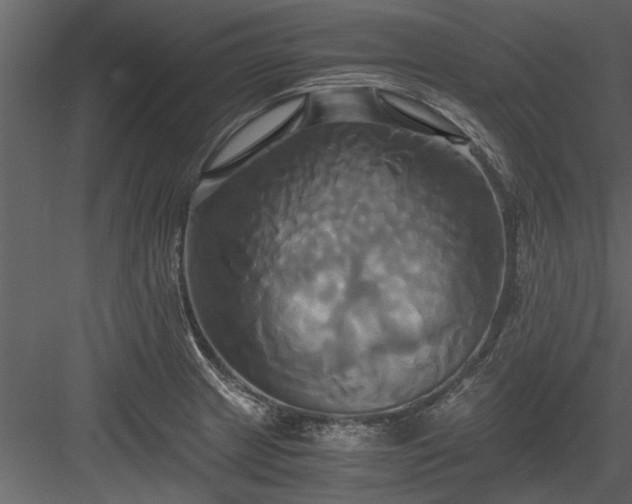 X0000084011233200702232155