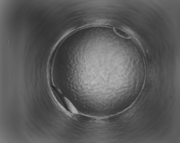 X0000084011235200702232155