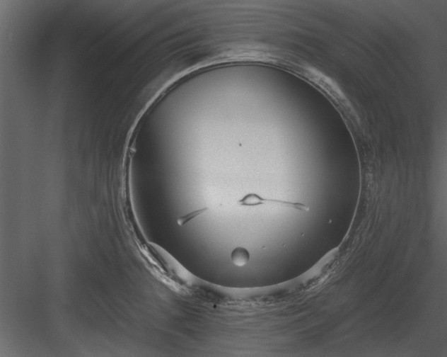 X0000084011236200702232155