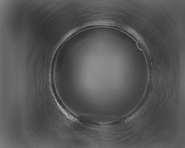 X0000084011237200702232155