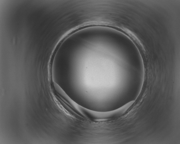 X0000084011238200702232155