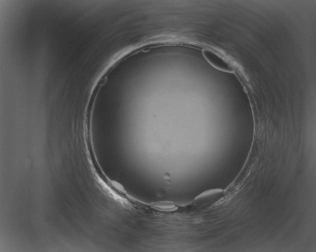 X0000084011239200702232155