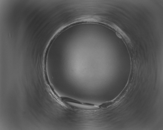 X0000084011240200702232156