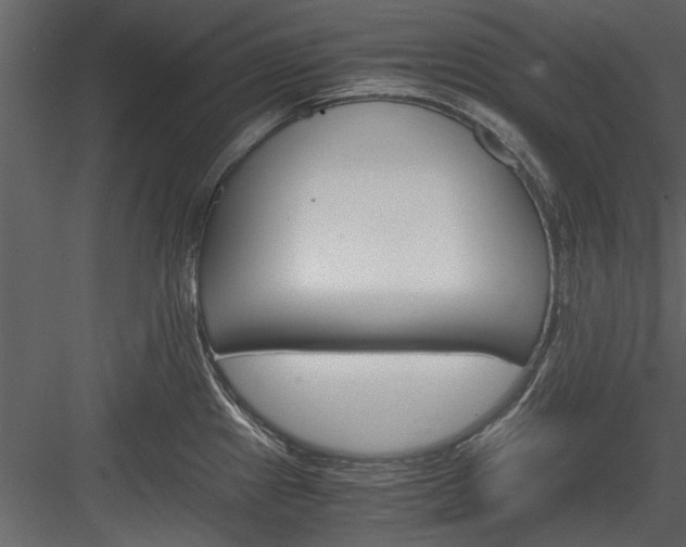 X0000084011241200702232156