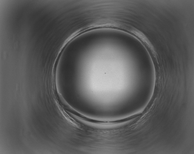 X0000084011242200702232156