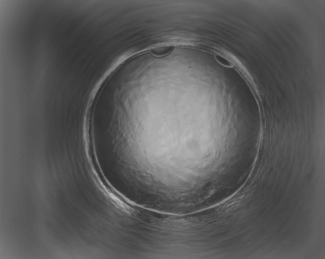 X0000084011243200702232156