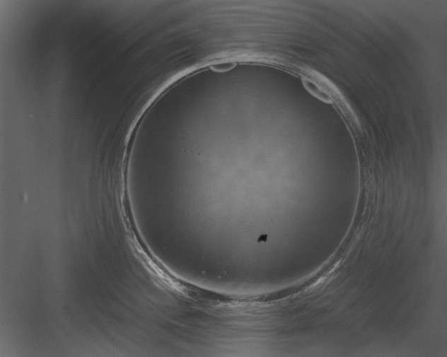 X0000084011244200702232156