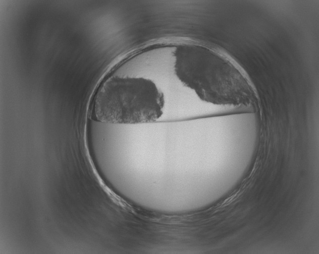 X0000084011245200702232156