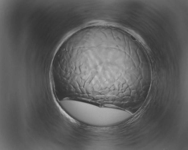 X0000084011247200702232156