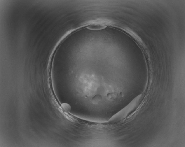 X0000084011248200702232156