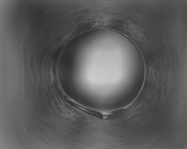 X0000084011250200702232155