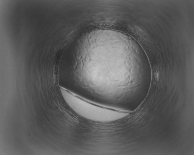 X0000084011252200702232155