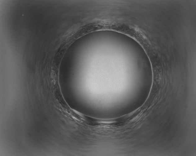 X0000084011253200702232155