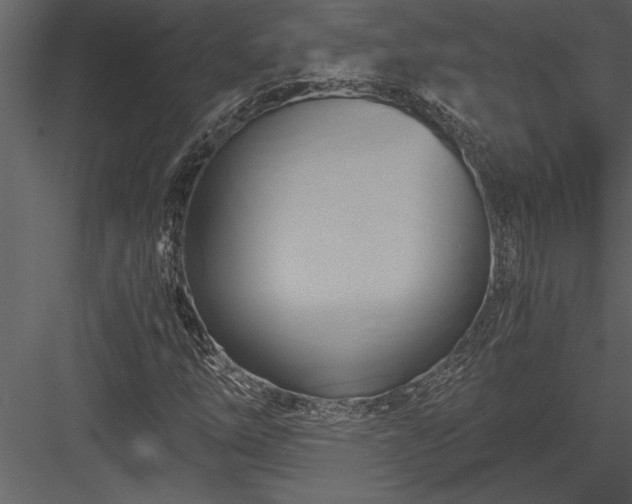 X0000084011254200702232155