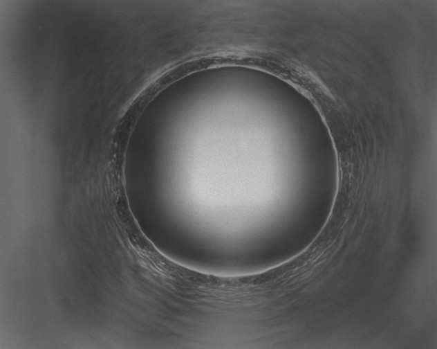 X0000084011256200702232155