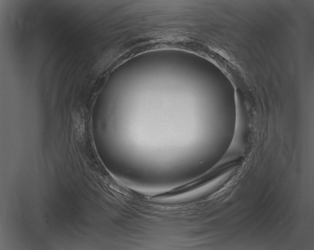 X0000084011257200702232155