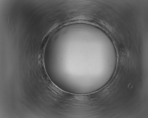 X0000084011258200702232155