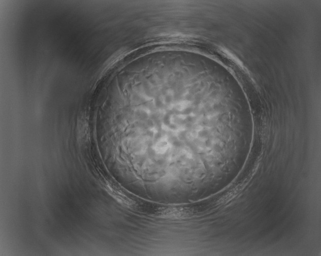 X0000084011259200702232155